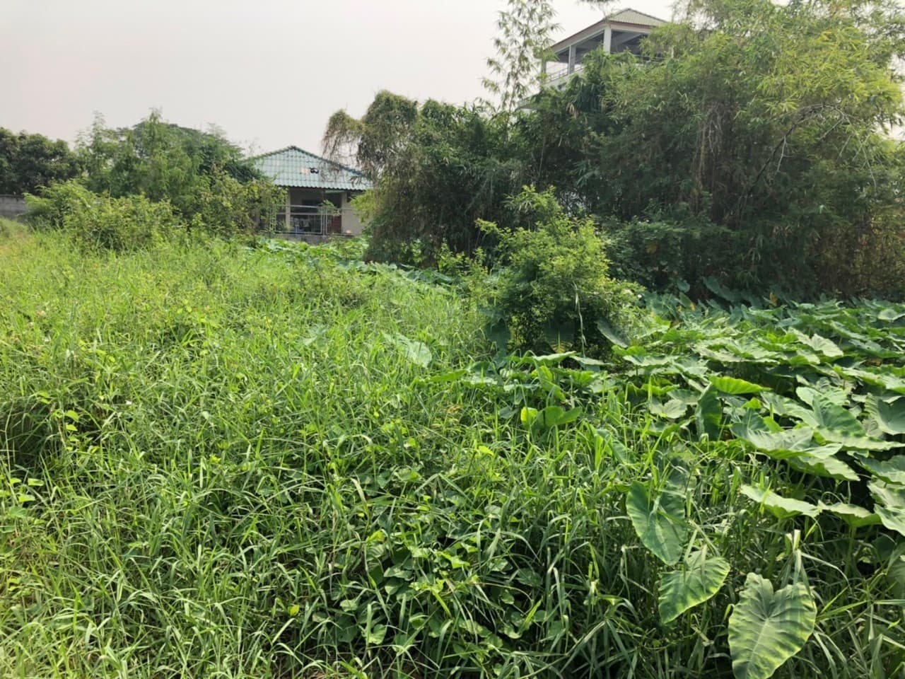 ขายที่ดินราคาถูกกลางเมืองอุทัยธานีห่างจากสถานีขนส่งผู้โดยสารอุทัยธานี 285 เมตร