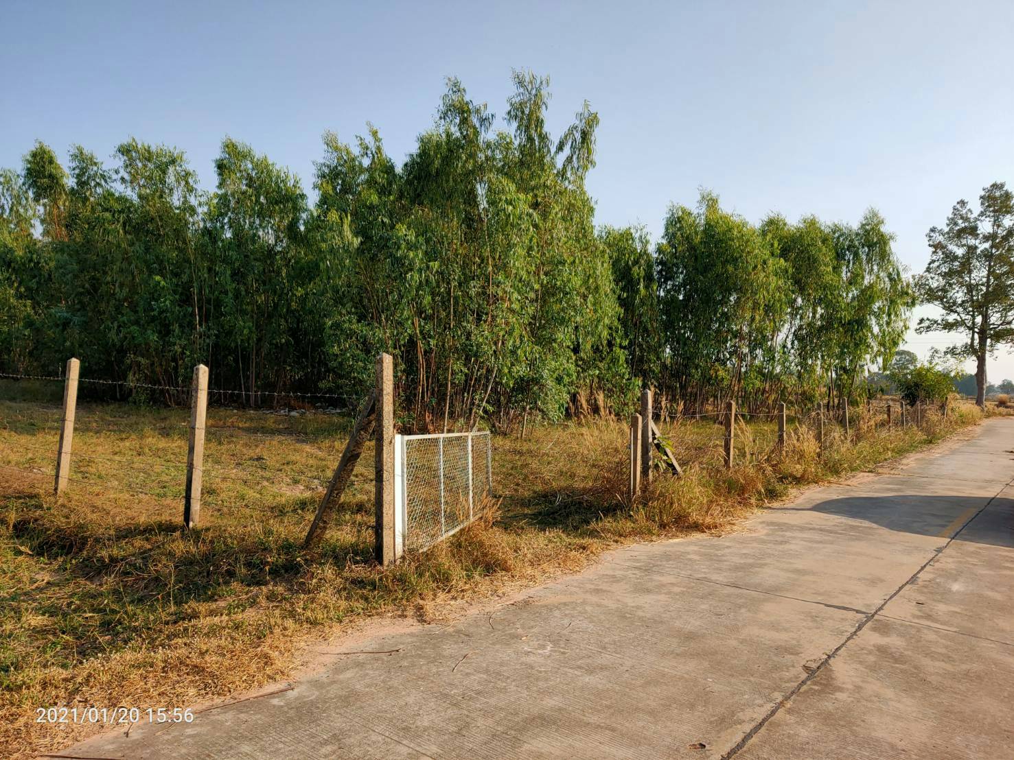 ขายที่ดินใกล้โรบินสันร้อยเอ็ด 7 ไร่ 86.4 ตรว.ติดถนนคอนกรีตบรรยากาศดีการเดินทางสะดวกสบายเหมาะทำธุรกิจอ.เมืองร้อยเอ็ด