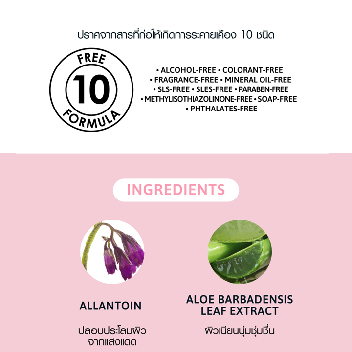 Cathy Doll Kakao Friends Hygiene Wet Wipes 10sheets เคที่ดอลล์ แผ่นเช็ดทำความสะอาด