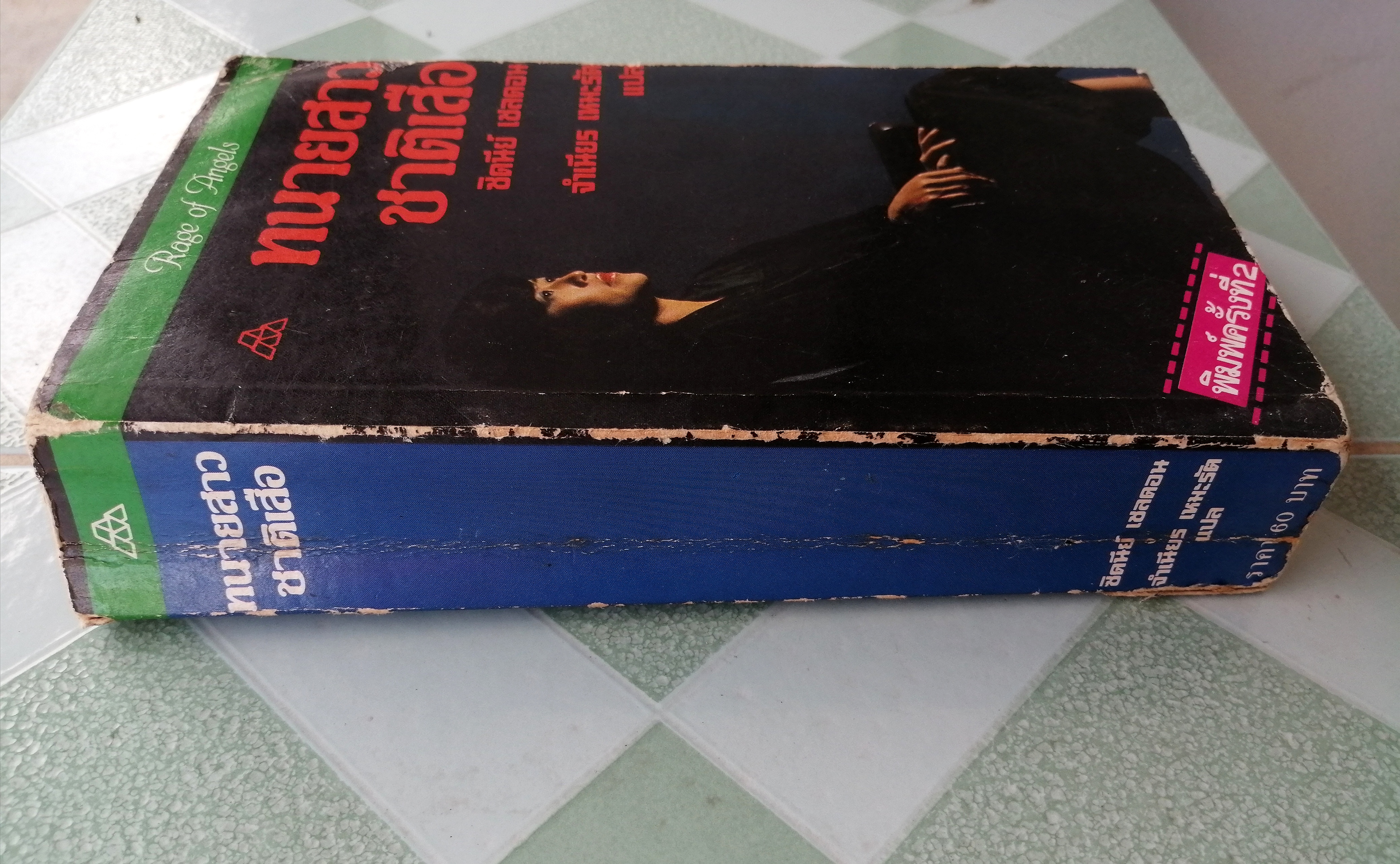 ทนายสาวชาติเสือ (Rage of Angels)