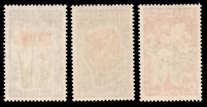 Cambodian Flowers 1961