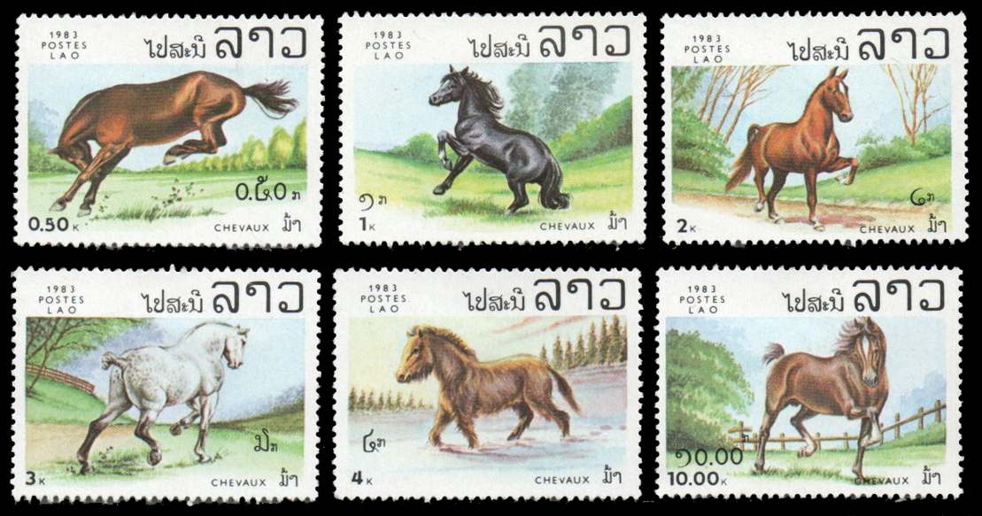 1983 Horses