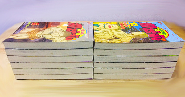 จ้าวป่าจอมฮาทาร์จัง (12 เล่มจบ)