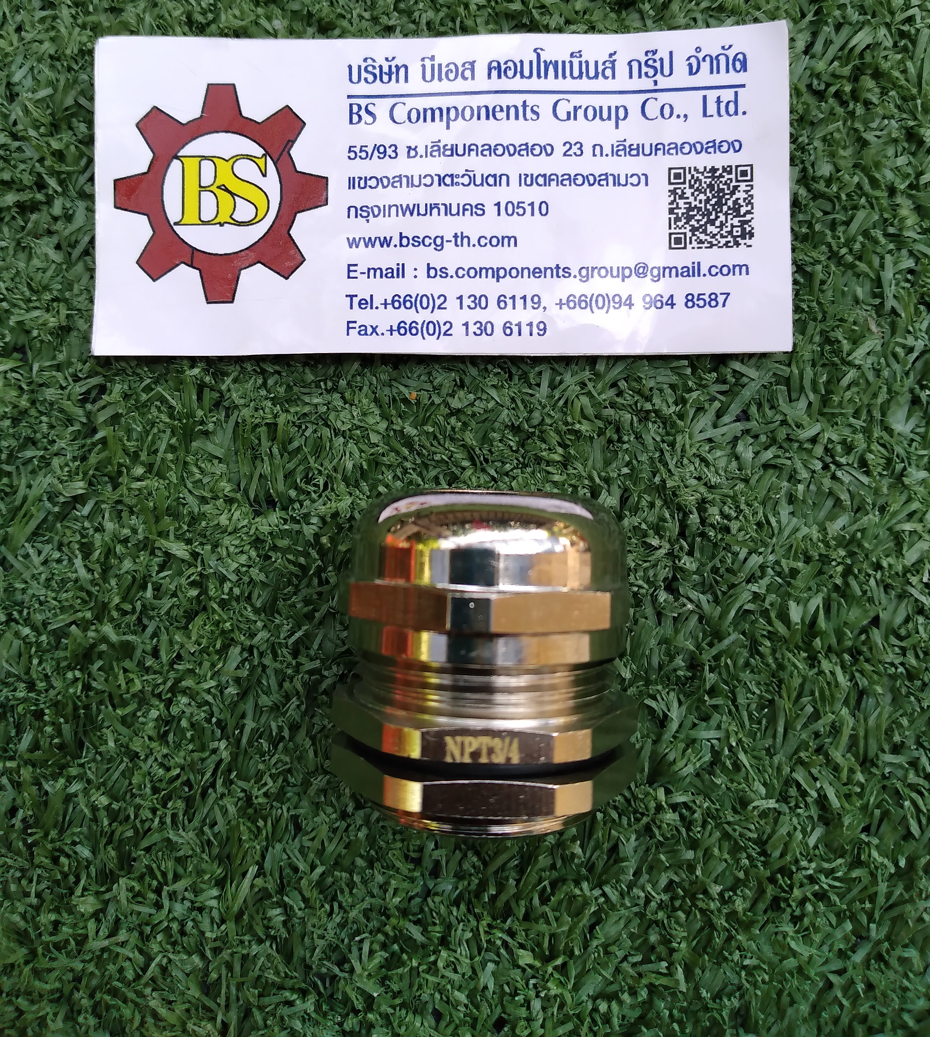 SHINOHAWA : Brass Cable grand ทองเหลือง ชุบนิเกิ้ล NPT 3/4" IP44