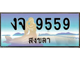 เลขทะเบียนรถ สงขลา งจ 9559 เลขประมูล ผลรวมดี 36 จากเฮงทะเบียน