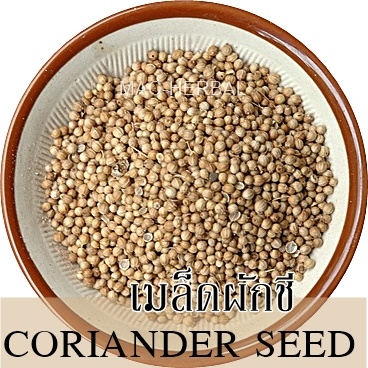 CORANINDER SEED / ลูกผักชี