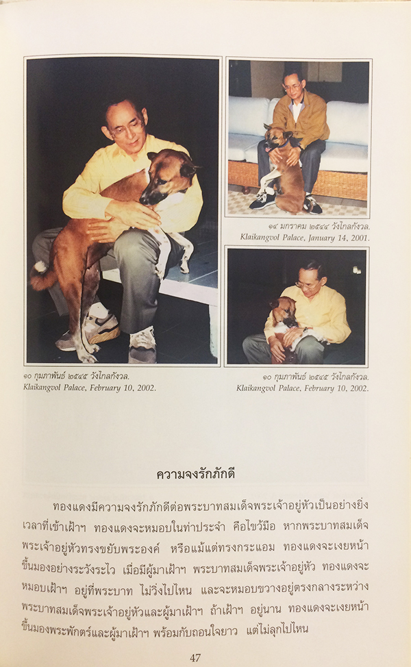 พระราชนิพนธ์ พระบาทสมเด็จพระเจ้าอยู่หัวภูมิพลอดุลยเดช เรื่อง ทองแดง : The story of Tongdaeng (ไทย-อังกฤษ)