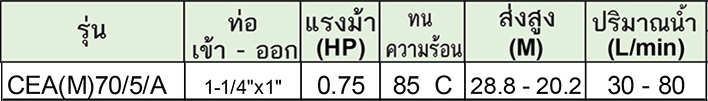 LOWARA ปั๊มน้ำแสตนเลส รุ่น CEA(M)70/5/A ไฟฟ้า220V