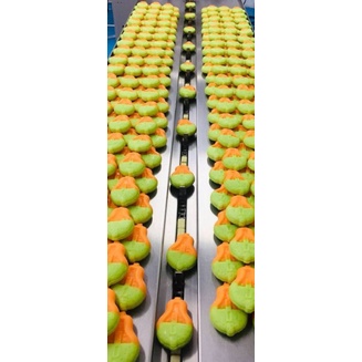 Party White Gluta Vit C AHA Soap สบู่เปิดผิวขาว 300g.