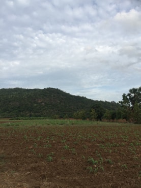 ขายที่ดินสวยราคาถูกที่สุด ห่างจากทุ่งดินดำรีสอร์ท 1.78กม.บรรยากาศดีทิวเขาสวยเหมาะทำการเกษตรอยู่อาศัยอ.อู่ทองจ.สุพรรณบุรี