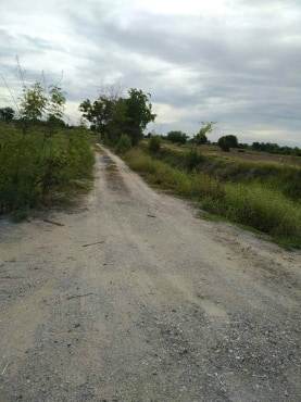 ด่วนขายที่ดินราคาถูกใกล้ถนนใหญ่พหลโยธิน 2.6 กม.ห่างจากปั้มบางจากถนนสายเอเชีย 5 กม.61 ไร่ 2 งาน 82 ตรว.การเดินทางสะดวก อ.เมืองนครสวรรค์