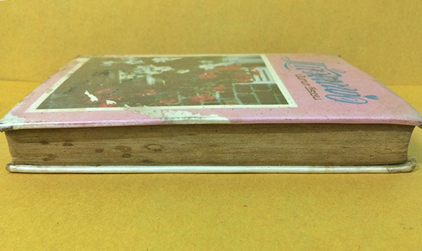 แก้วตาพ่อ (เล่มเดียวจบ)