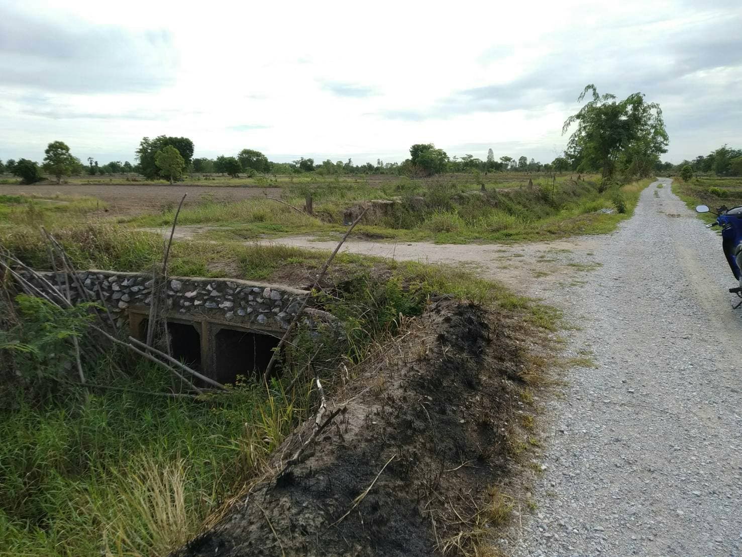 ด่วนขายที่ดินราคาถูกใกล้ถนนใหญ่พหลโยธิน 2.6 กม.ห่างจากปั้มบางจากถนนสายเอเชีย 5 กม.61 ไร่ 2 งาน 82 ตรว.การเดินทางสะดวก อ.เมืองนครสวรรค์