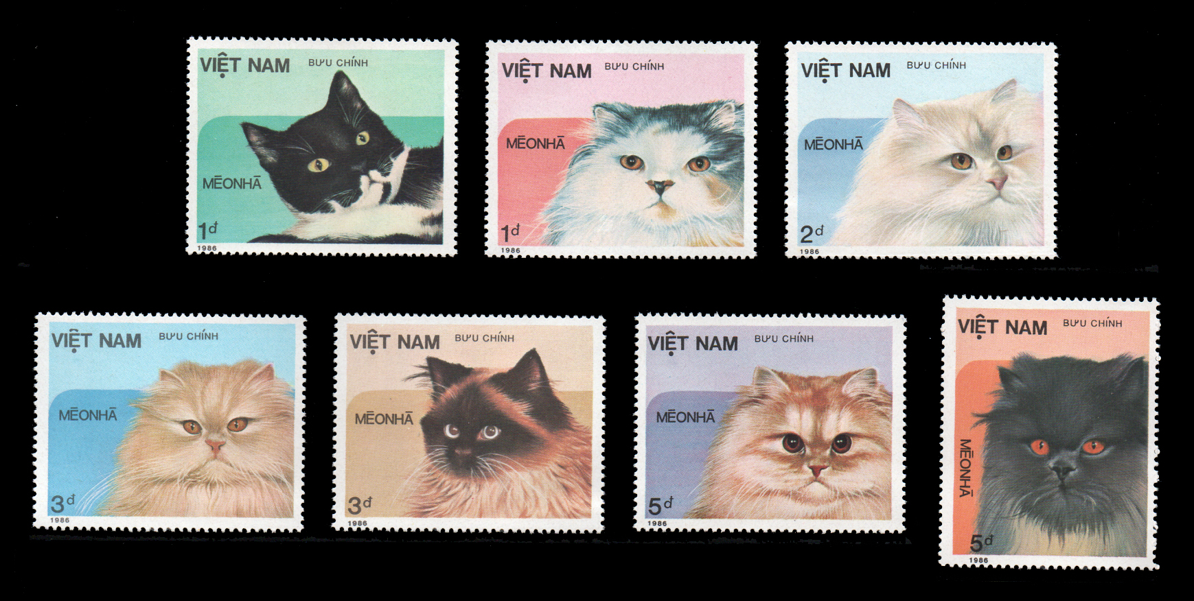 Viet Nam Cats 1986