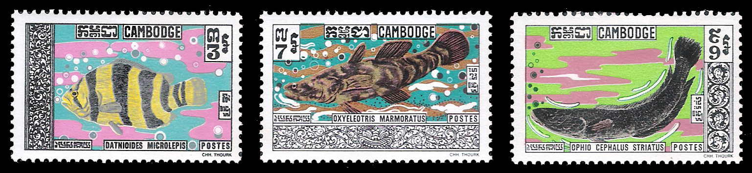 1970 Combodia Fish