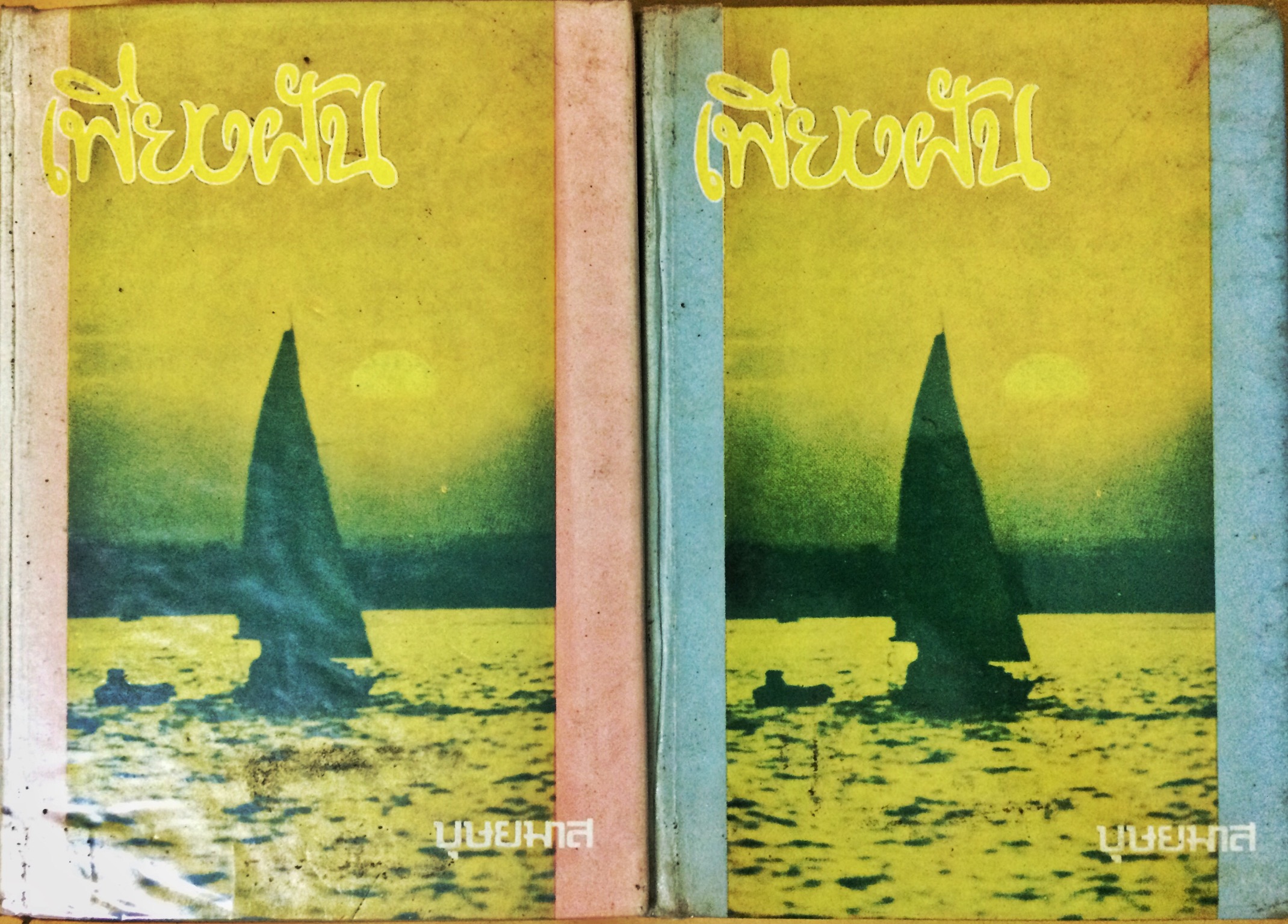 เพียงฝัน (1-2เล่มจบ)