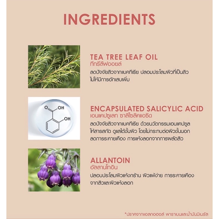 Cathy Doll Cover Matte Powder Pact SPF30 PA+++12g แป้งซ่อนผิว ปกปิดดีเยี่ยม