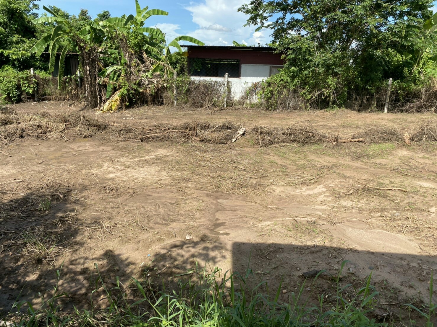 ขายที่ดินติดริมแม่นํ้าโขง อ.เมืองหนองคาย 300 ตรว. ด้านหน้าเป็นคอนกรีตบรรยากาศดีเหมาะแก่การสร้างบ้านอยู่อาศัยหรือทำธุรกิจพื้นที่กว้างพร้อมสำหรับทุกคนในครอบครัว