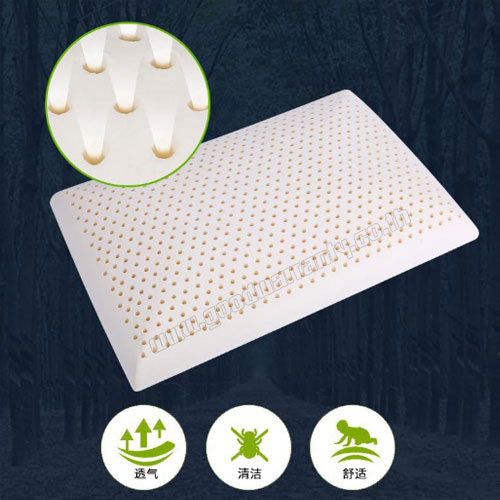 หมอนยางพารา ตุ๊กตา คละแบบ รุ่น CS 56*38*4.5 cm SKU-01189