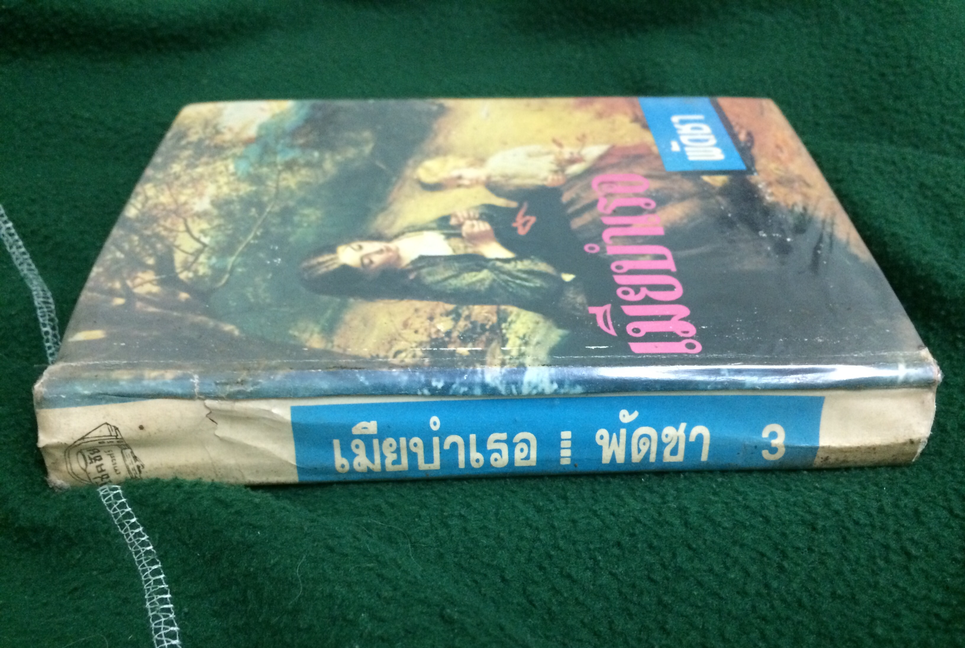 เมียบำเรอ เล่ม 3 (เล่มจบ)