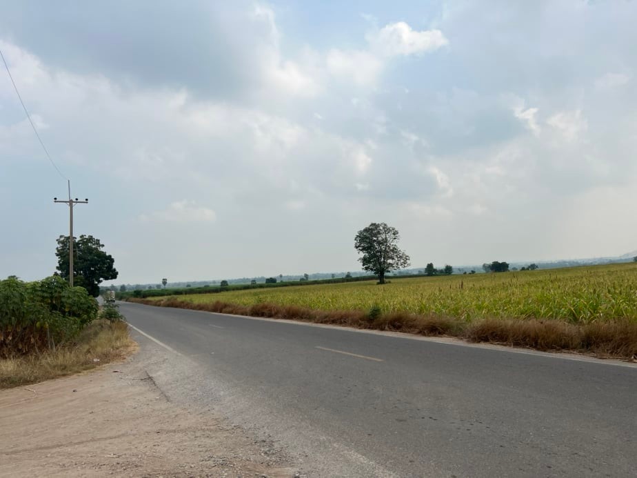 ขายที่ดินราคาถูก1.5แสนบาท/ไร่ อ.พยุหะคีรีจ.นครสวรรค์ใกล้อบต.เขาทองที่ดินสวยเหมาะทำการเกษตรปัจจุบันให้เช่าทำไร่อ้อย(มีผู้เช่า)บรรยากาศดีเดินทางสะดวก