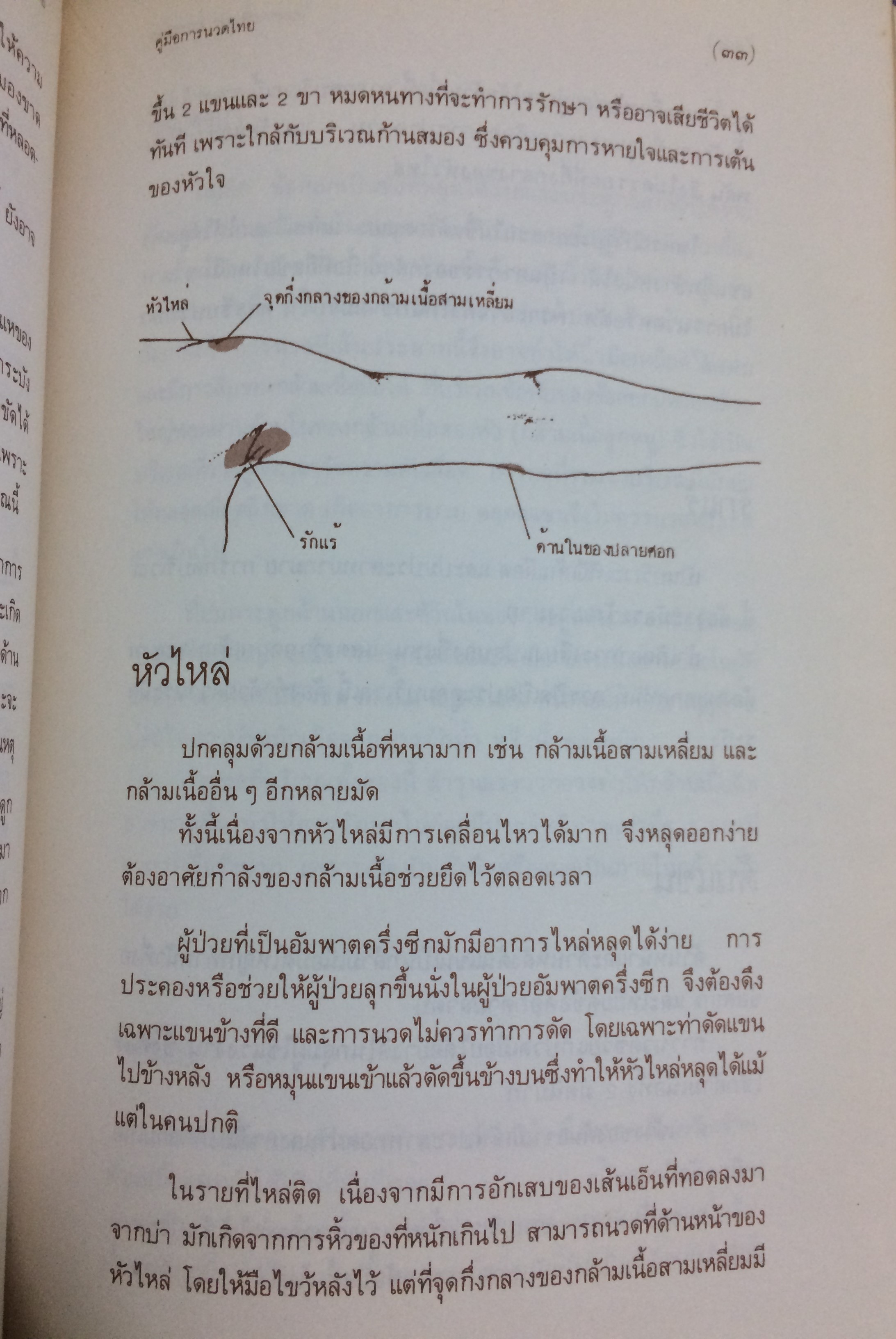 คู่มือการนวดไทย