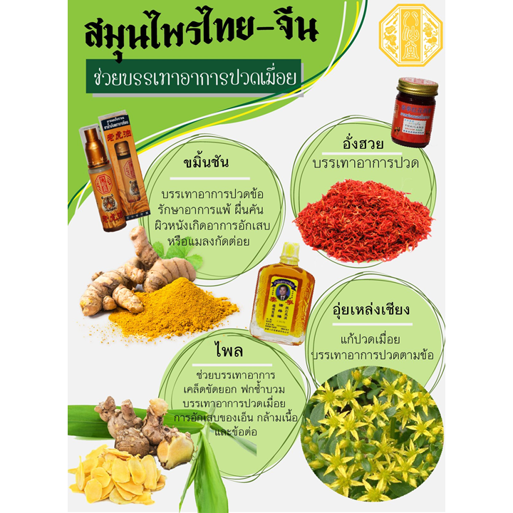 Ba Xian Tang 50ml น้ำมันตราบาเซียน