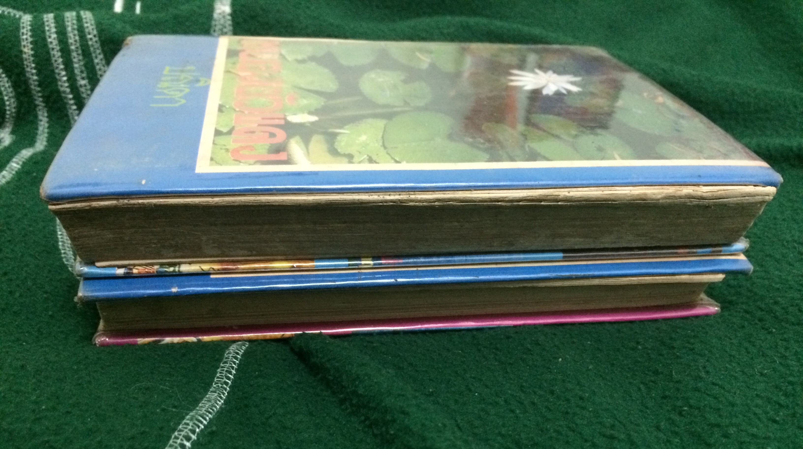 หนองบัวแดง (1-2เล่มจบ)