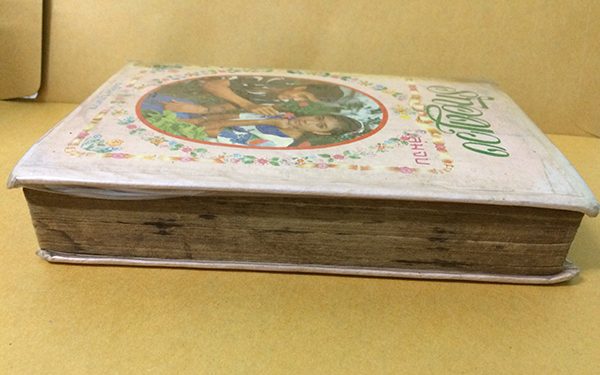 รักอลเวง (เล่มจบ)