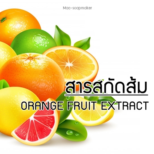 ORANGE FRUIT EXTRACT สารสกัดส้ม