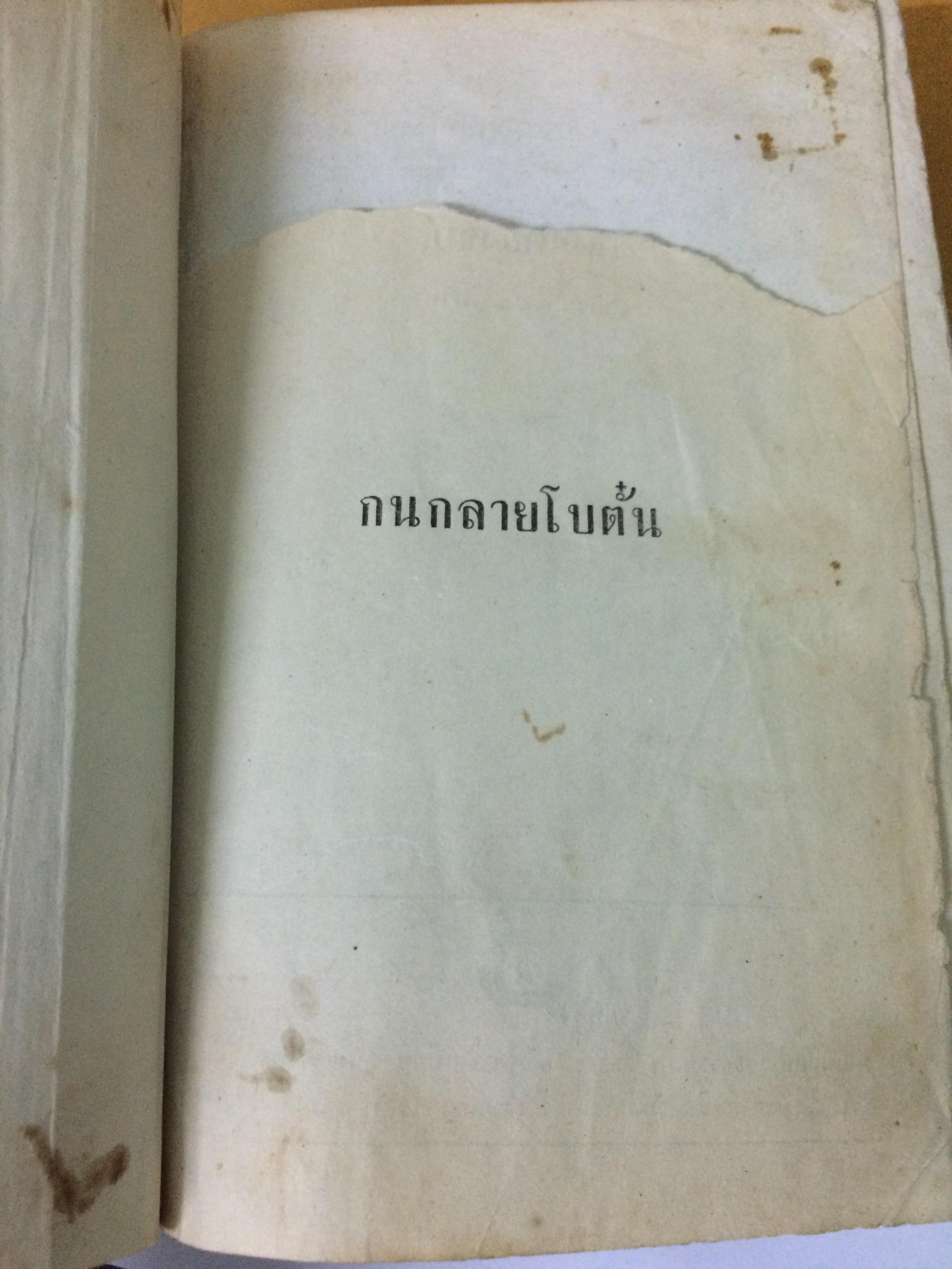 กนกลายโบตั๋น (เล่มเดียวจบ)