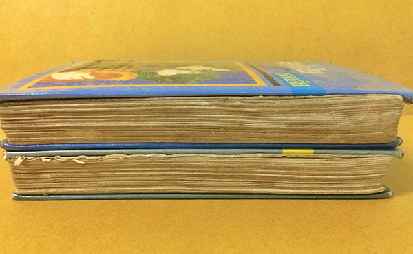 สายใยสวาท (1-2เล่มจบ)