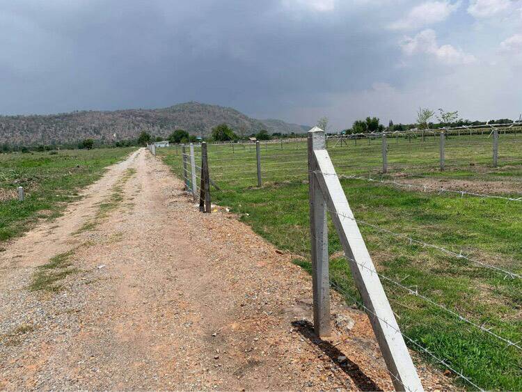 ขายที่ดิน อ.อู่ทอง จ.สุพรรณบุรี 2 ไร่ 1 งาน 94 ตรว. ใกล้รร.บ้านทุ่งดินดำ 950 เหมาะแก่การสร้างบ้านอยู่อาศัย ,รีสอร์ท,ปลูกพืช,เลี้ยงสัตว์หรือทำธุรกิจอื่นๆ บรรยากาศดีวิวภูเขาสวย