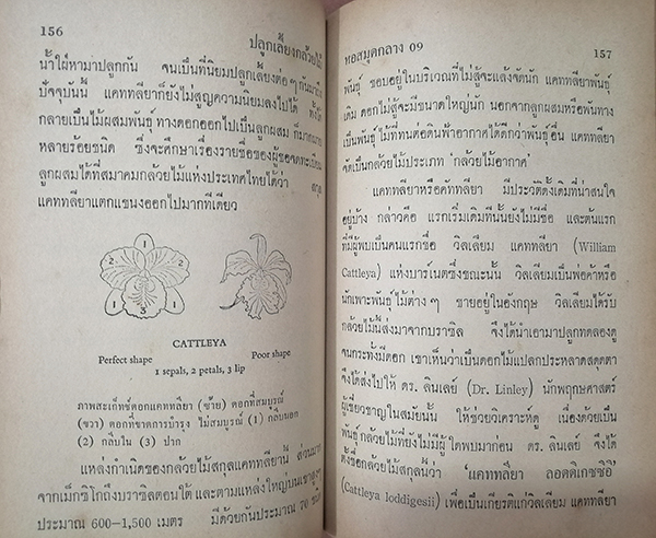 คู่มือผสมพันธุ์และปลูกเลี้ยงกล้วยไม้ฉบับสมบูรณ์