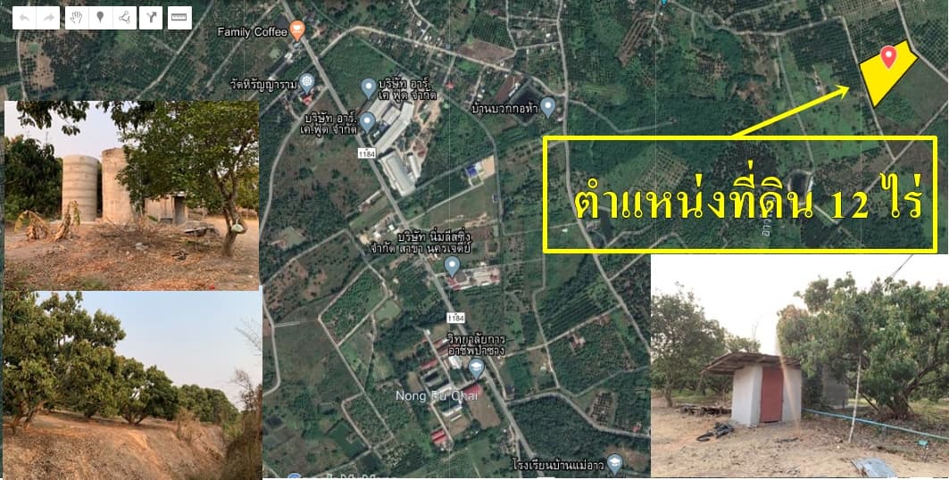 ขายที่ดินสวนราคาถูกเหมาะทำการเกษตรสร้างบ้านสวนพื้นที่กว้างพร้อมสำหรับทุกคนในครอบครัวใกล้วิทยาลัยการอาชีพป่าซาง 1.37 กม. จ.ลำพูน