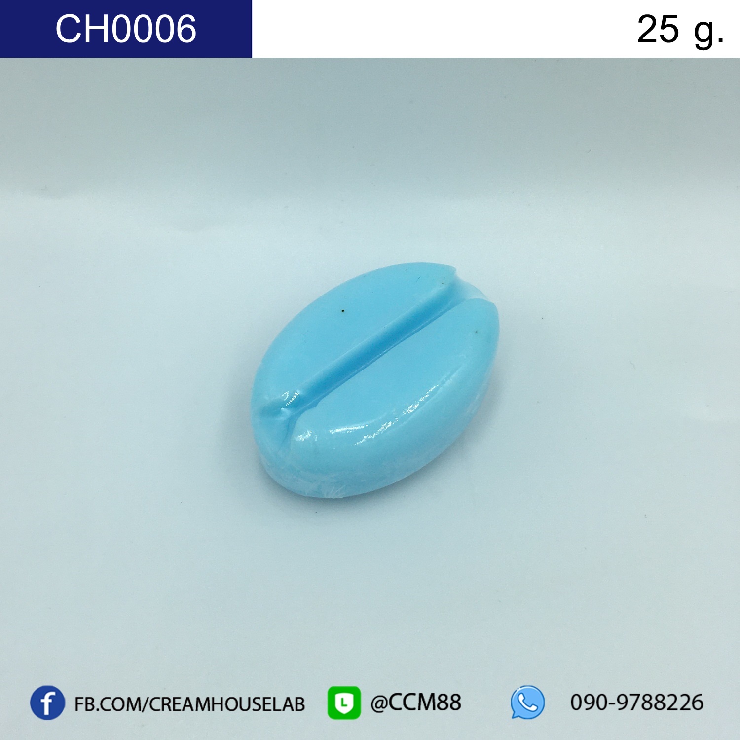 รหัส CH0006