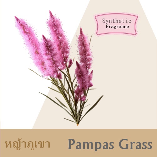 Pampas Grass หัวน้ำมันหอม หญ้าภูเขา green fresh สัมผัสถึง กลิ่นหอมสดชื่น มีชีวิตชีวาของทุ่งหญ้า และดิน ละลายในแอกอฮอล์และน้ำมัน -ทนความร้อนสูง -ไม่เร่งเทรซ COA