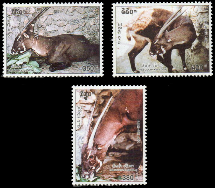 Saola 1997