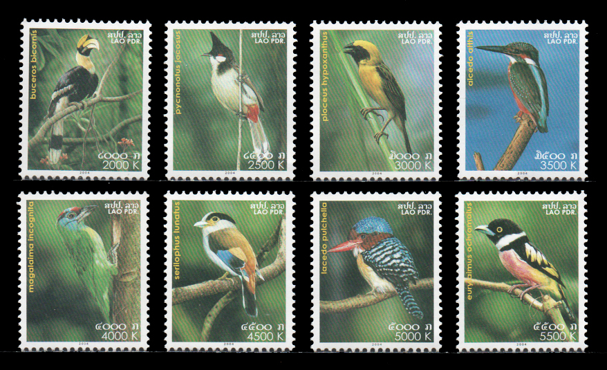 Birds 2004