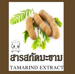 TAMARIND EXTRACT สารสกัดมะขาม