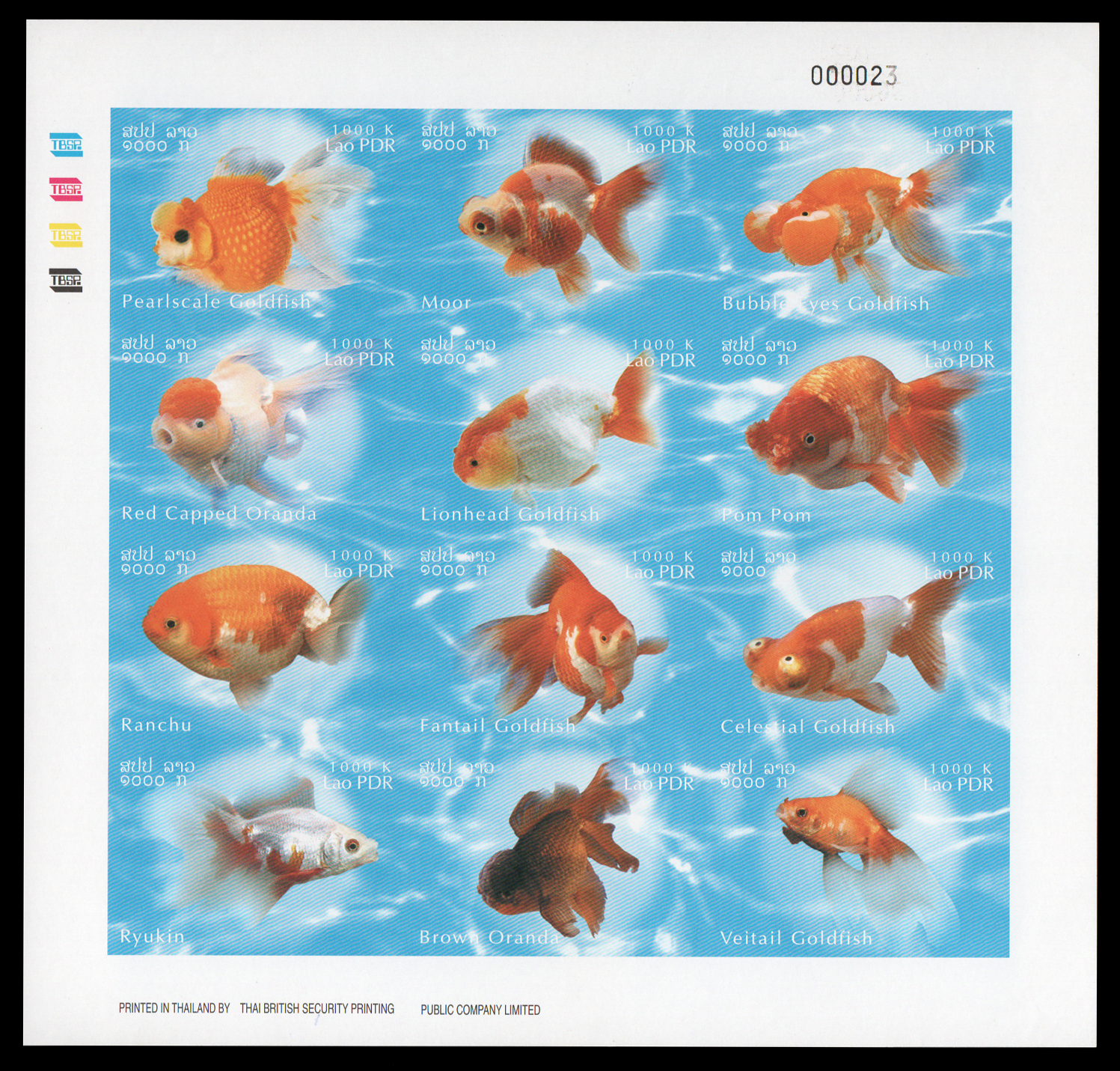 Goldfish 2002 (แบบไม่ปรุ)