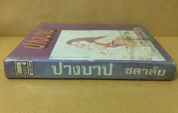 ปางบาป (เล่มเดียวจบ)