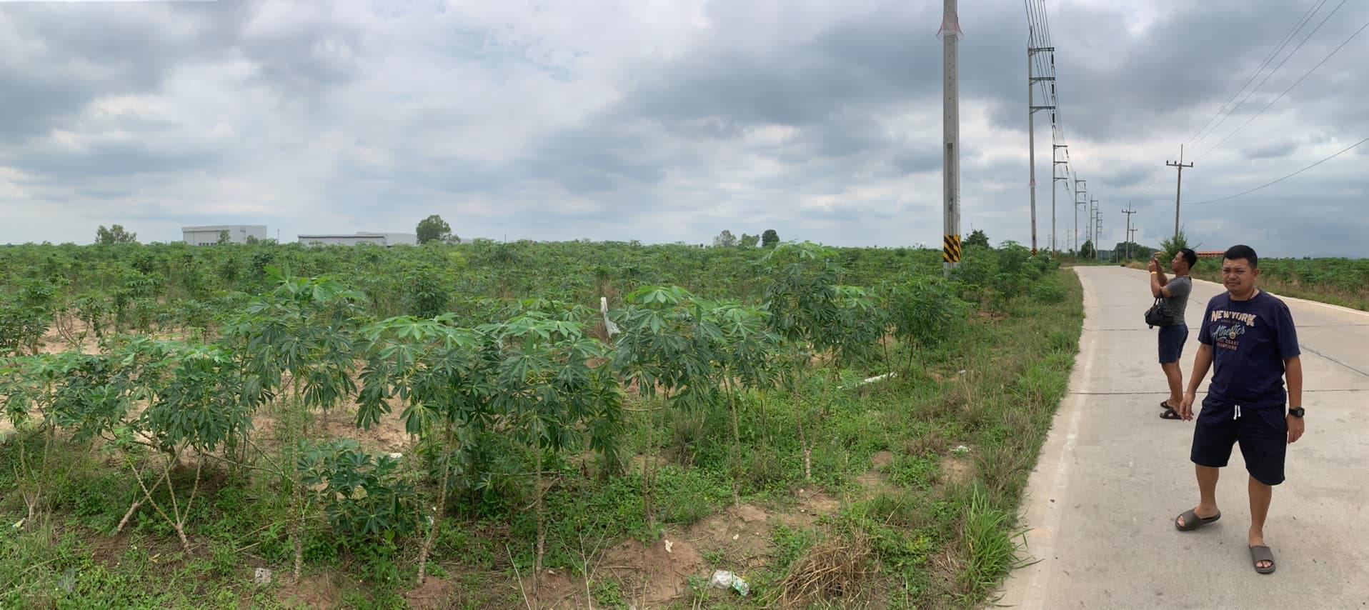 ขายที่ดินในเขตนิคมอุตสาหกรรมราคาถูกเหมาะทำธุรกิจพื้นที่กว้างเดินทางสะดวก6ไร่ติดถนนห้างแก้ว5อ.ปลวกแดงจ.ระยอง