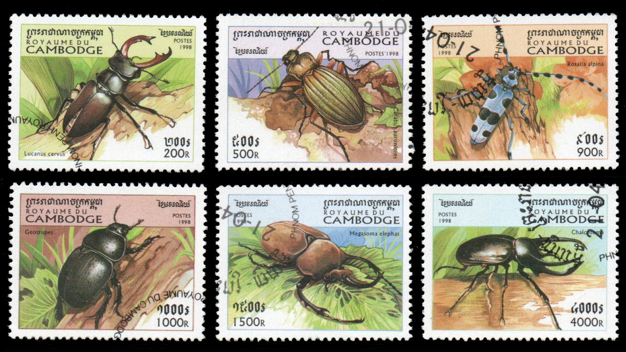 1998 Beetles