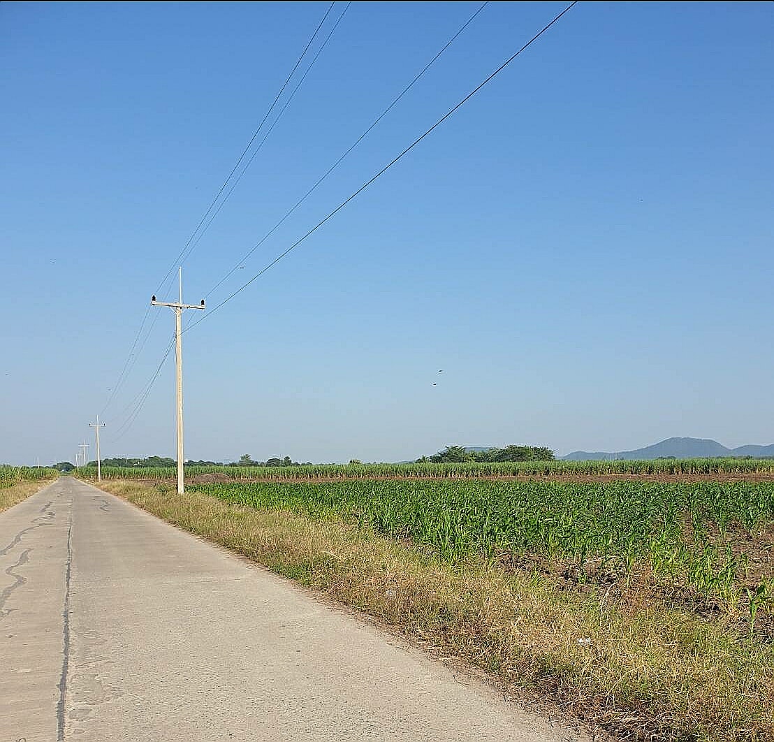 ขายที่ดินสวยราคาถูกอำเภอเมืองนครสวรรค์47ไร่2งาน37 ตารางวาบรรยากาศดีการเดินทางสะดวกสบายไฟฟ้าพร้อมใกล้อบต.พระนอนใกล้ปั้มPTเหมาะทำการเกษตร,บ้านสวน,บ้านพักตากอากาศหรือประกอบธุรกิจอื่นๆ