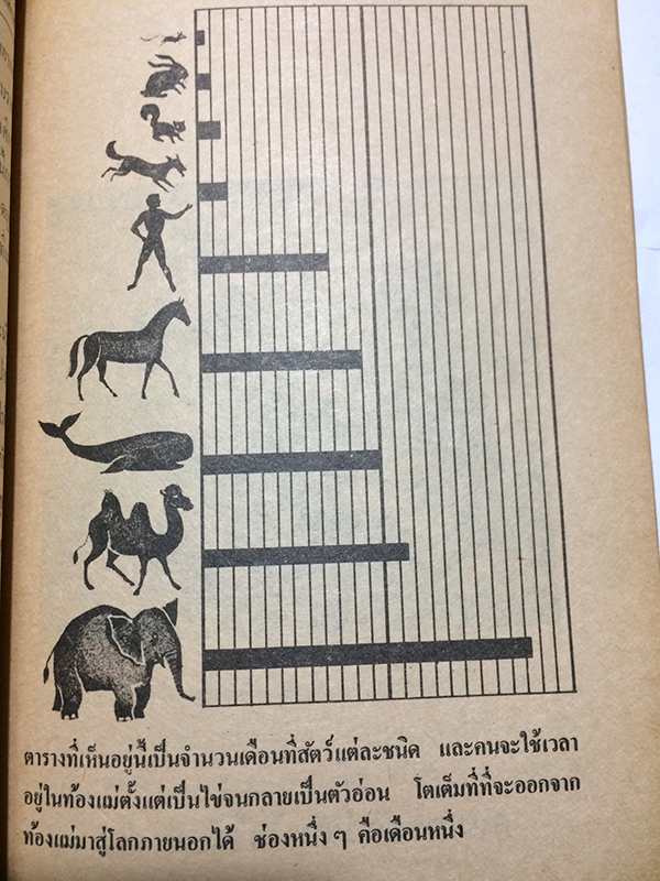 เพศศึกษา