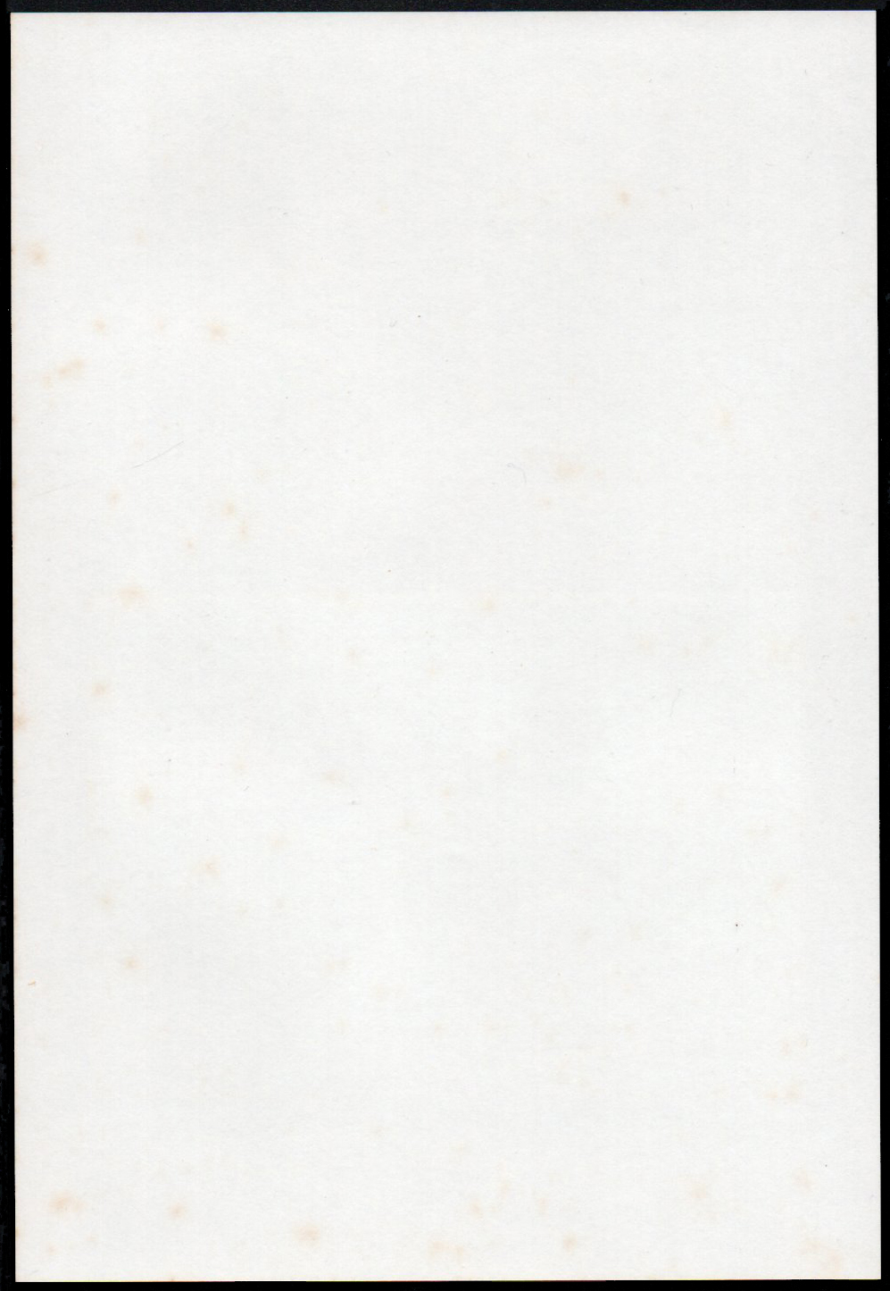 (แบบปรุ + ไม่ปรุ) Millennium 2000