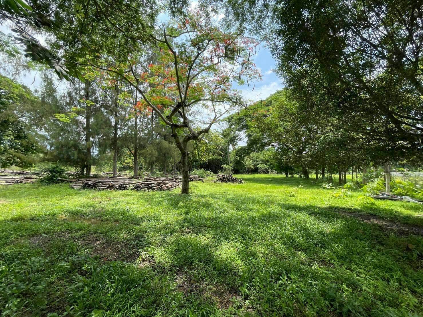 ที่ดินเจ้าของขายเองใกล้มหาวิทยาลัยแม่โจ้ใกล้เคียงที่ดินเป็นบ้านจัดสรรทางเข้าออกสะดวกเหมาะลงทุนทำธุรกิจพัฒนาที่ดิน 8 ไร่ 1 งาน 64.1 ตารางวา อ.สันทราย จ.เชียงใหม่