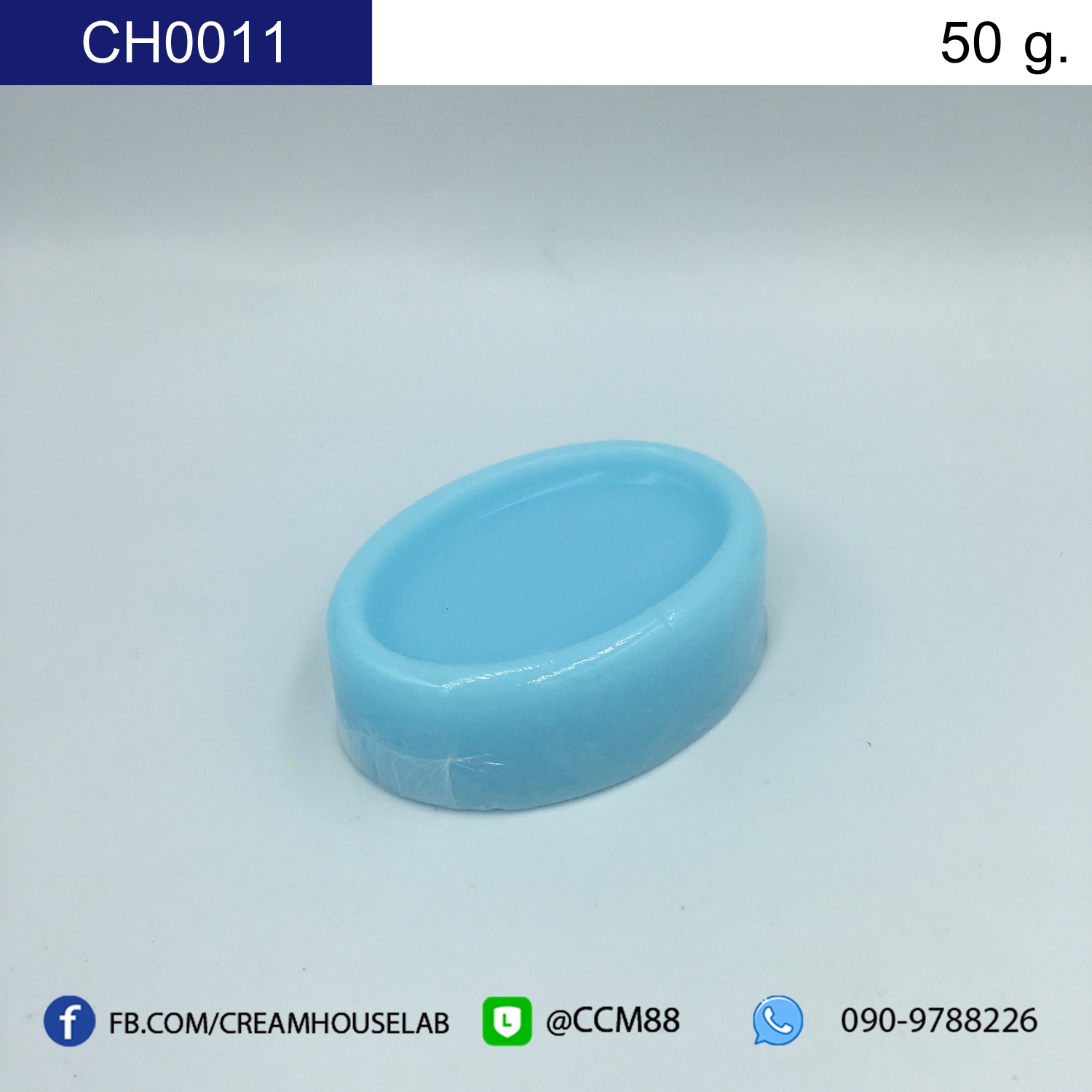 รหัส CH0011