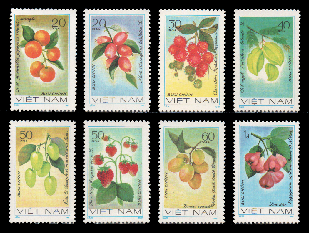 Fruits 1981